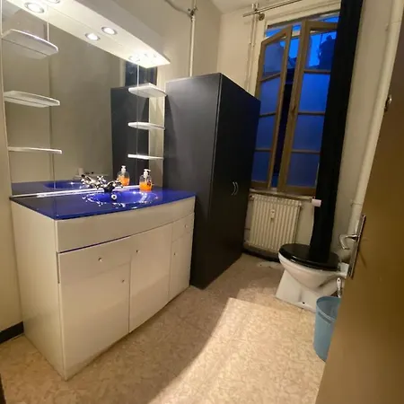 Emplacement Ideal : Studio Au Coeur De Disponible En Location Dijon