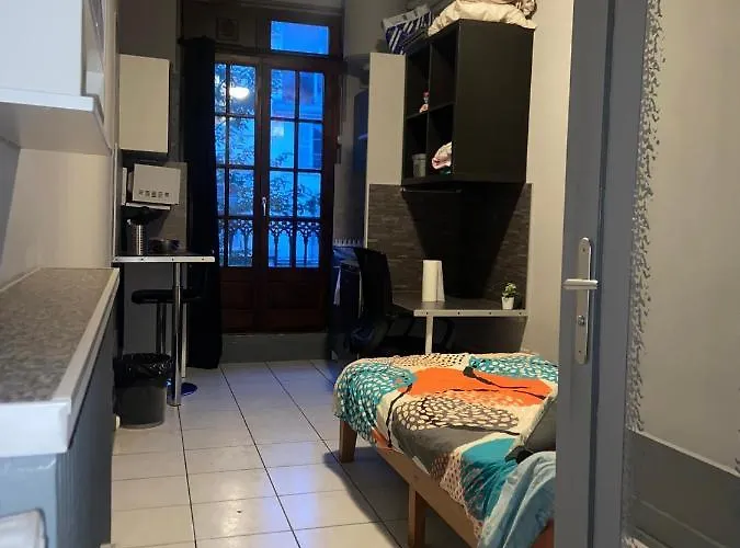 Emplacement Ideal : Studio Au Coeur De Disponible En Location Appartamento Digione